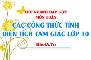 Công thức tính diện tích tam giác lớp 10 Chân trời sáng tạo - Hỏi nhanh đáp gọn